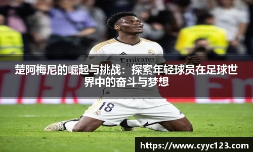 芒果体育直播官网