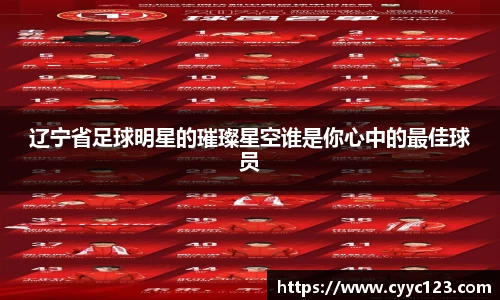 辽宁省足球明星的璀璨星空谁是你心中的最佳球员
